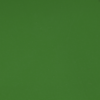 6901 Vibrant Green - Solid Colors