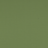 F8820 Leaf Green - Formica® Laminate Collection